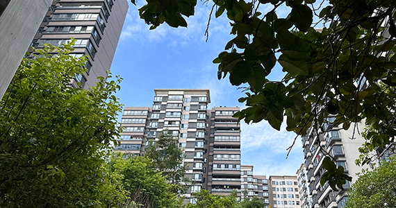 顺义区电商域名注册流程查询