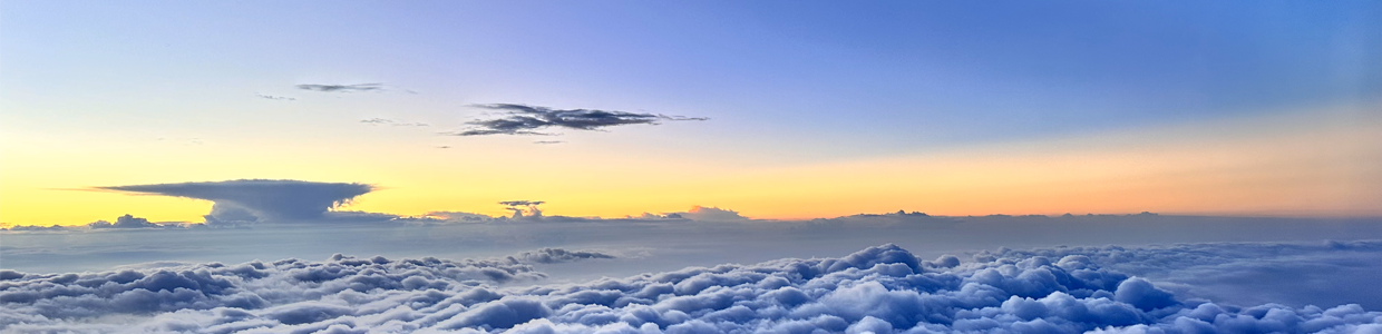 电商域名查询网